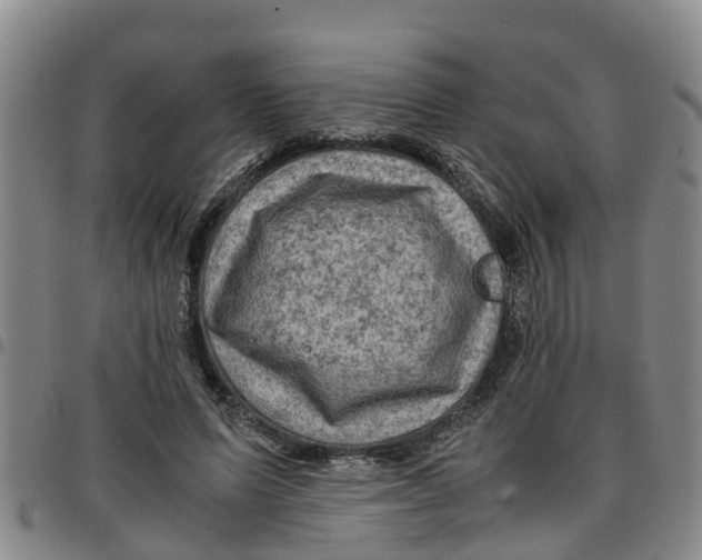 X0000097460591200803141853