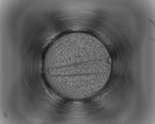 X0000097460592200803141853