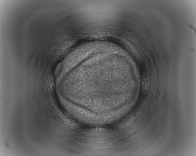 X0000097460593200803141853