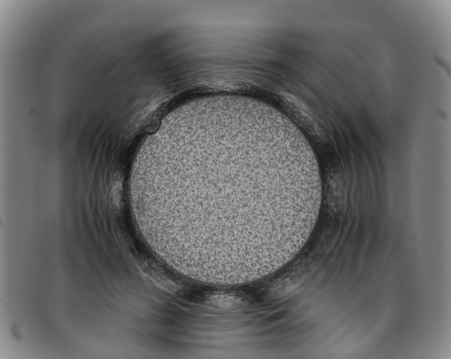 X0000097460596200803141853