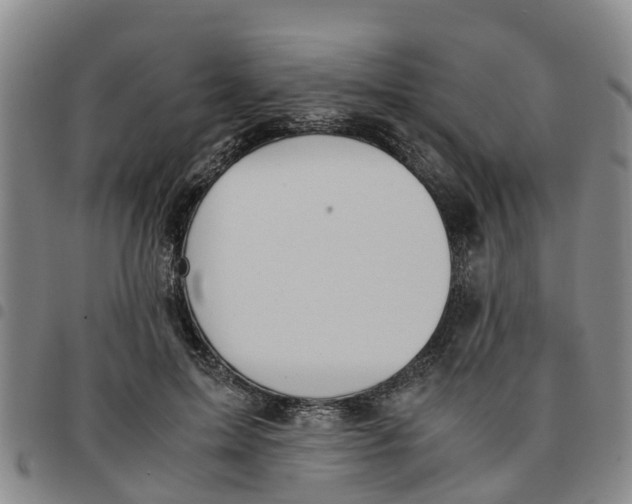 X0000097460599200803141853