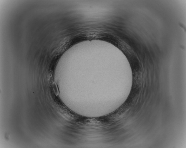 X0000097460601200803141853