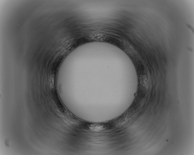 X0000097460602200803141853