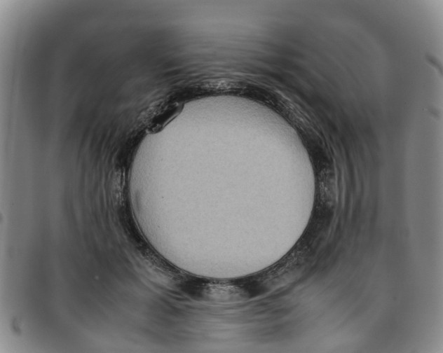 X0000097460605200803141853