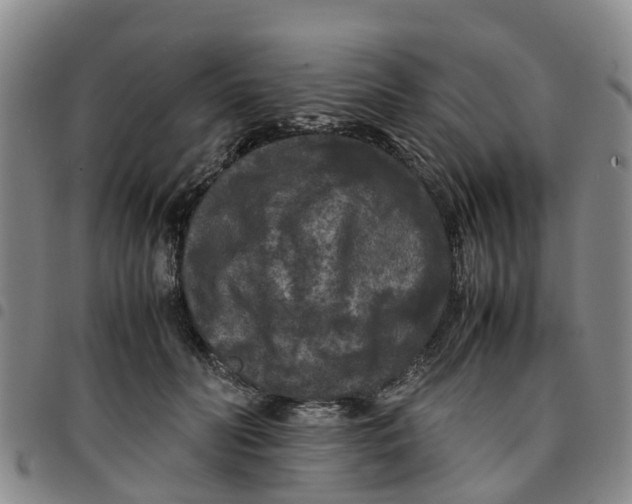 X0000097460606200803141853