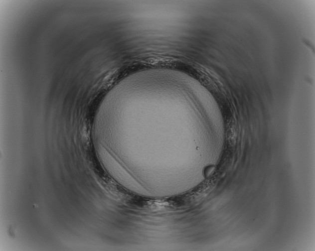 X0000097460607200803141853