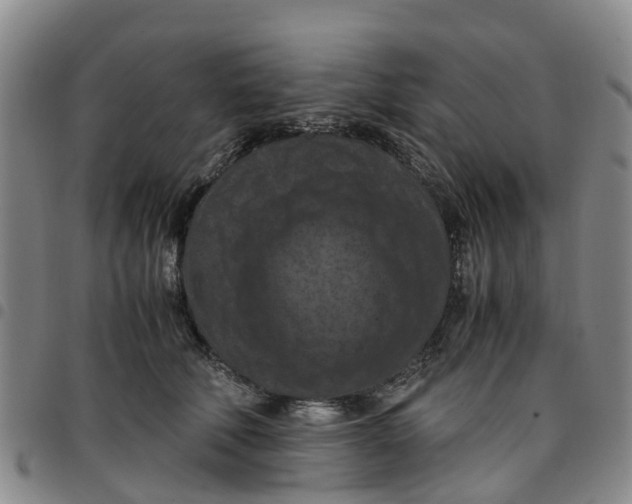 X0000097460610200803141853