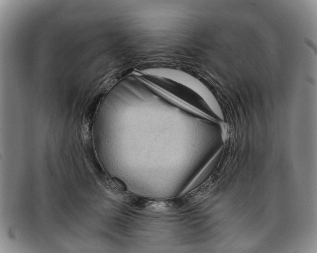 X0000097460611200803141853