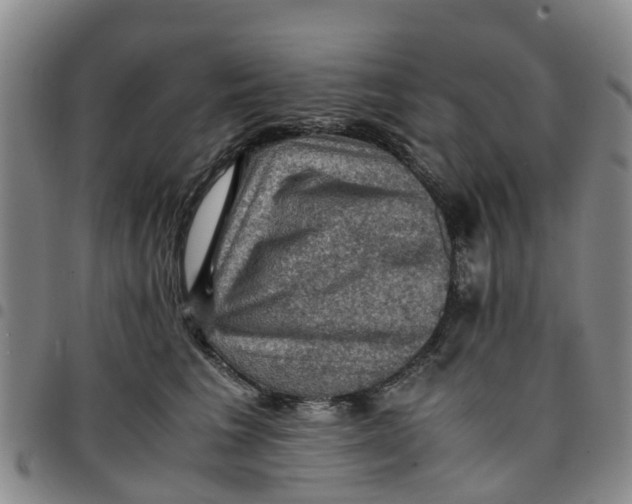 X0000097460613200803141853