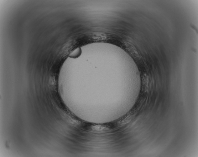 X0000097460614200803141853