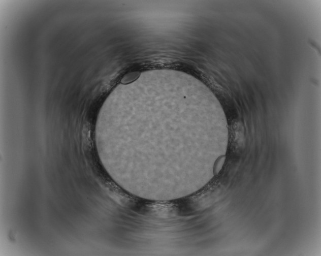 X0000097460615200803141853