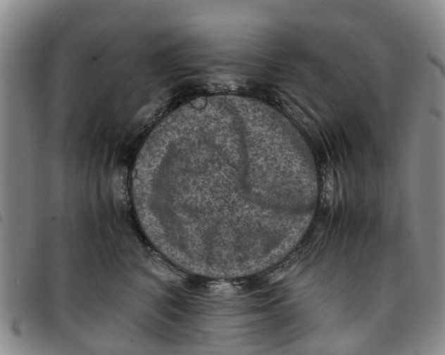 X0000097460616200803141853