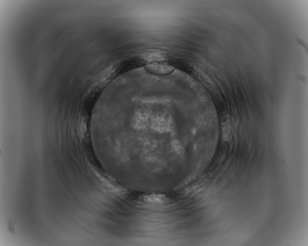 X0000097460618200803141853