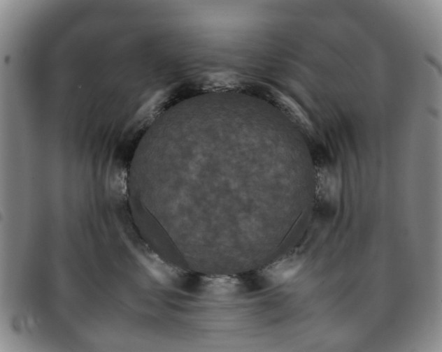 X0000097460621200803141853