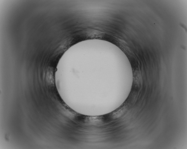 X0000097460622200803141853