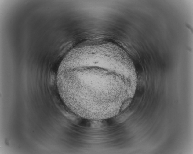 X0000097460623200803141853