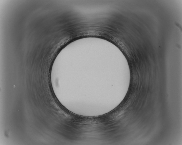 X0000097460625200803141852