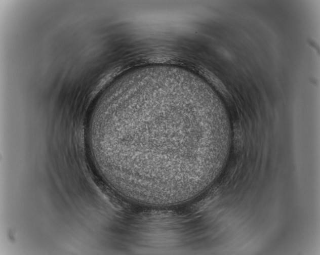 X0000097460626200803141852