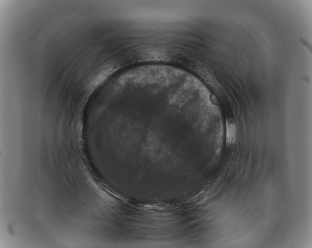 X0000097460627200803141852