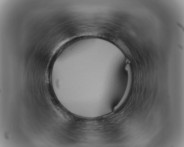 X0000097460628200803141852