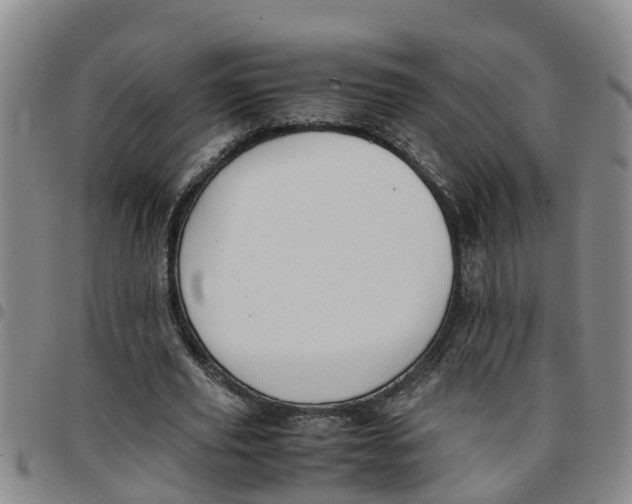 X0000097460629200803141852