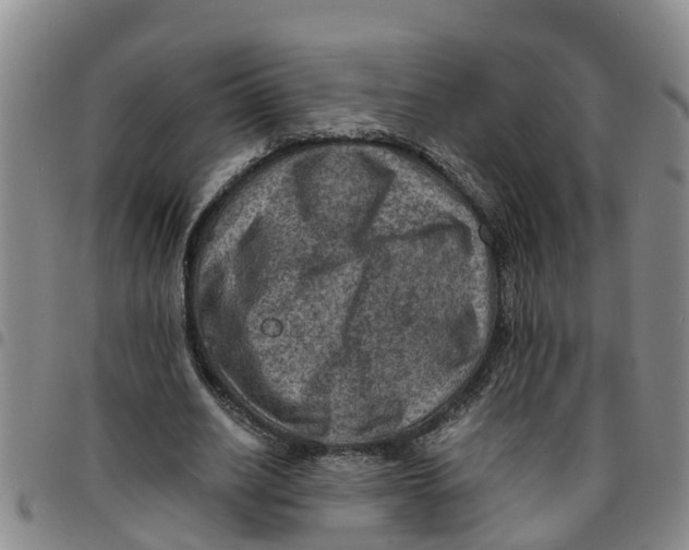 X0000097460630200803141852