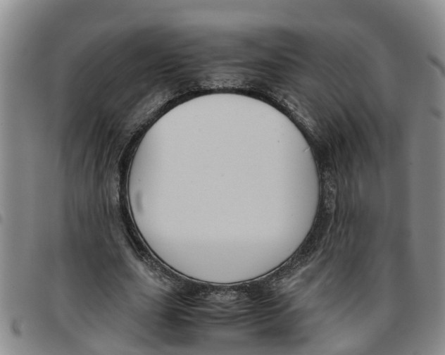 X0000097460631200803141852