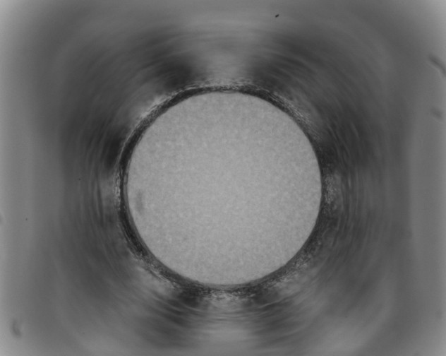 X0000097460632200803141852