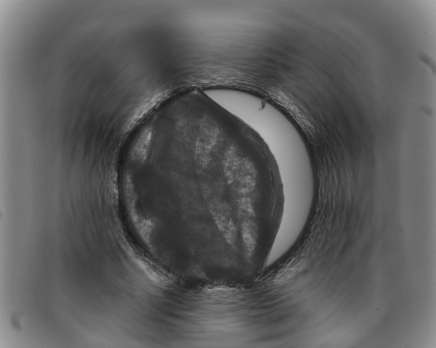 X0000097460634200803141852