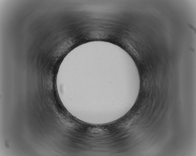 X0000097460635200803141852