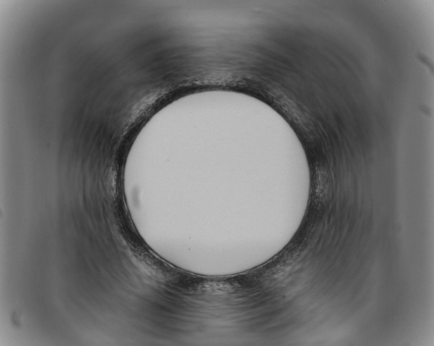 X0000097460636200803141852