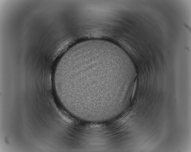 X0000097460638200803141852