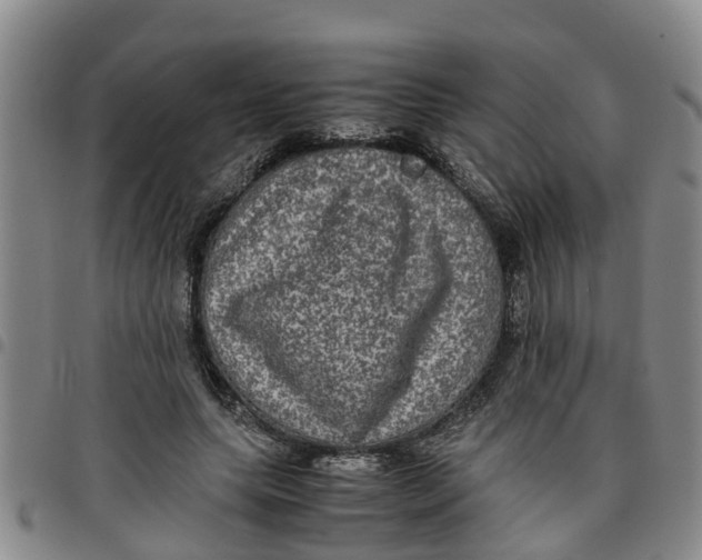 X0000097460639200803141852