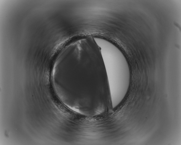 X0000097460640200803141852