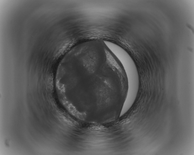 X0000097460642200803141852