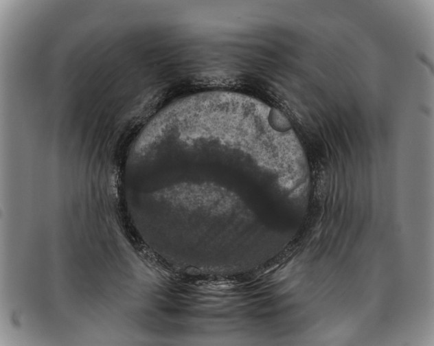 X0000097460643200803141852