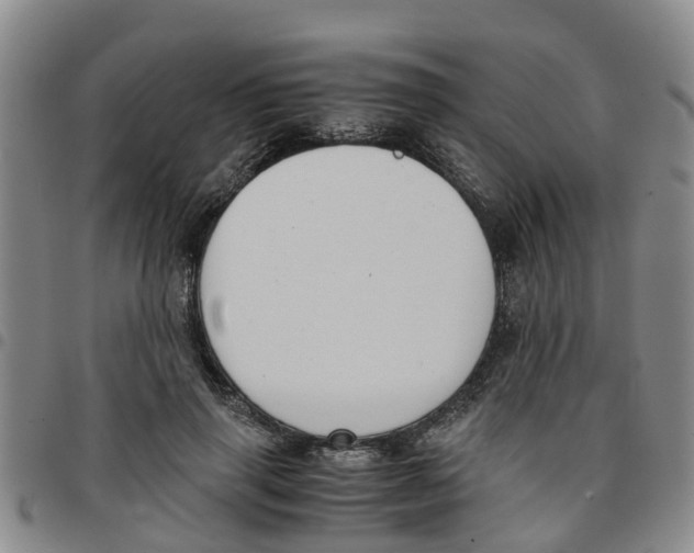 X0000097460645200803141852