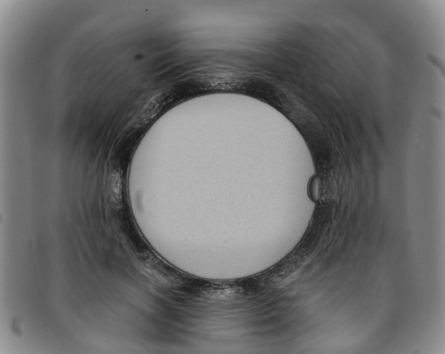 X0000097460646200803141852