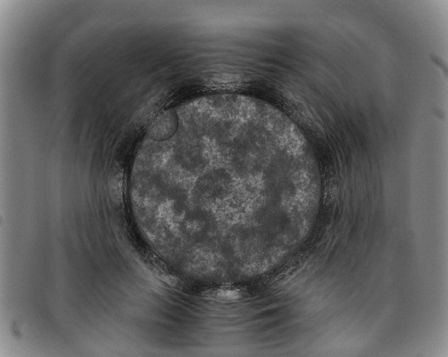 X0000097460647200803141852