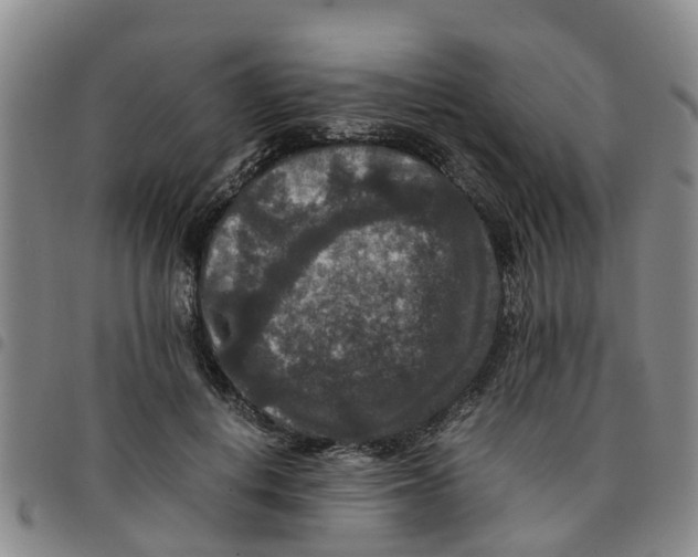 X0000097460648200803141852