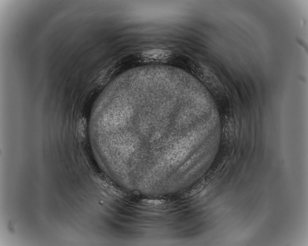 X0000097460649200803141852