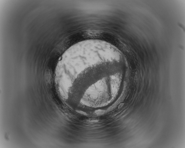 X0000097460651200803141852