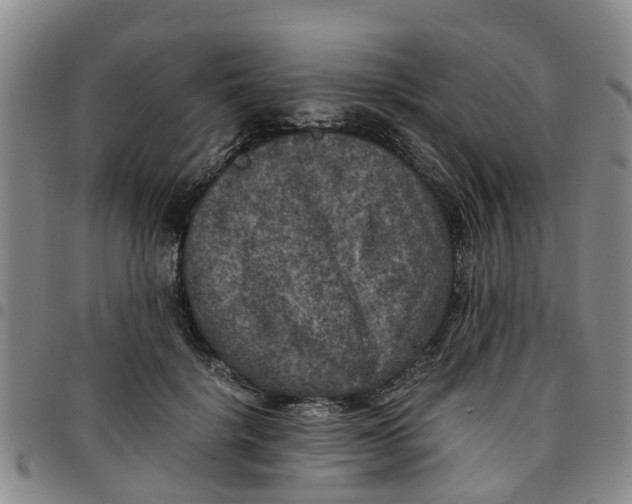 X0000097460652200803141852