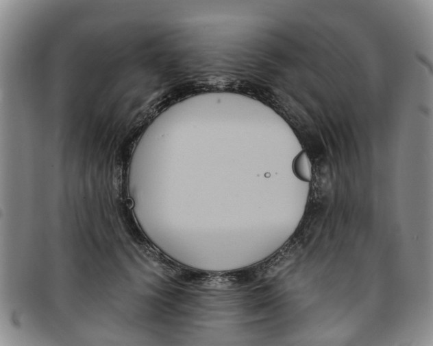 X0000097460656200803141852