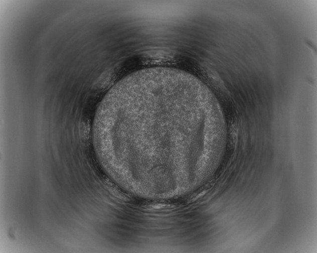 X0000097460657200803141852