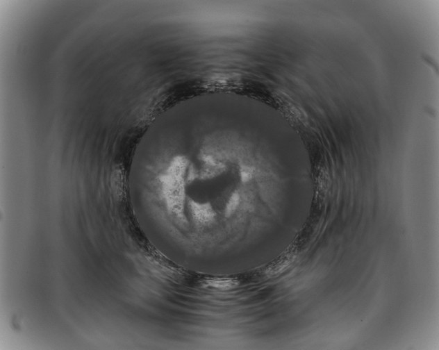 X0000097460659200803141852