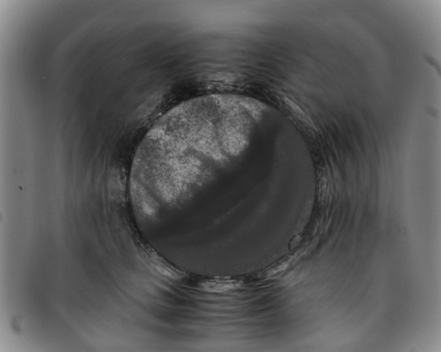 X0000097460661200803141853