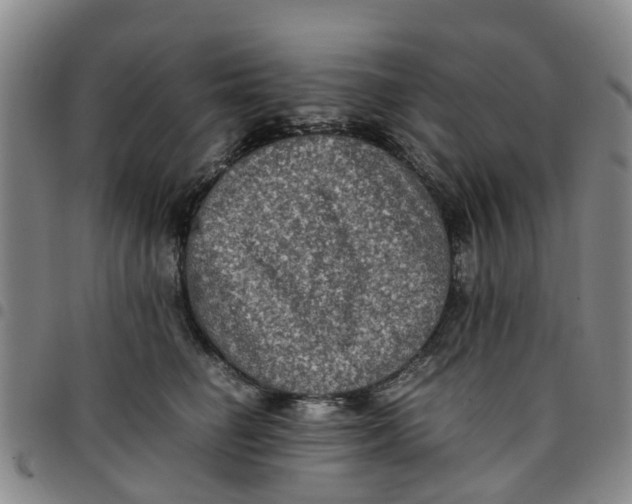 X0000097460662200803141853