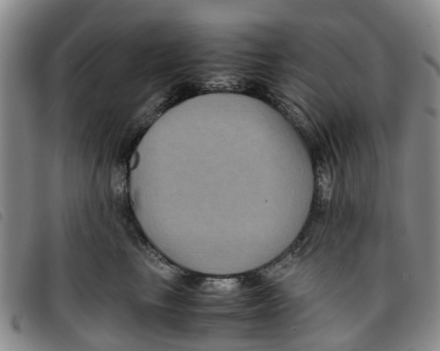 X0000097460665200803141853