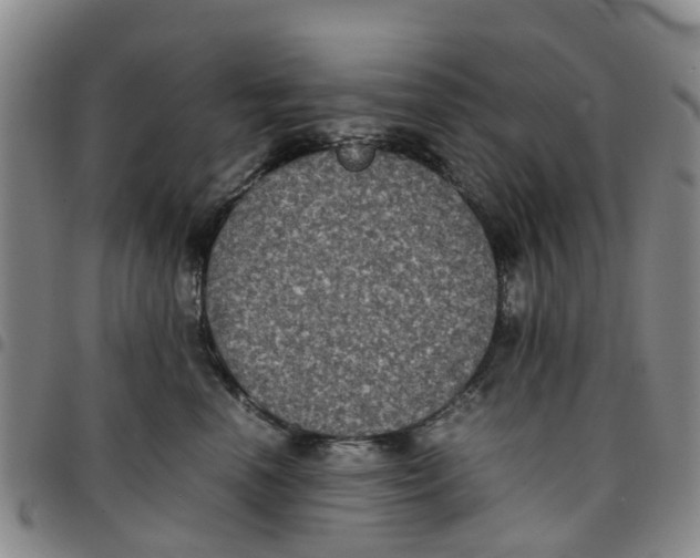 X0000097460666200803141853